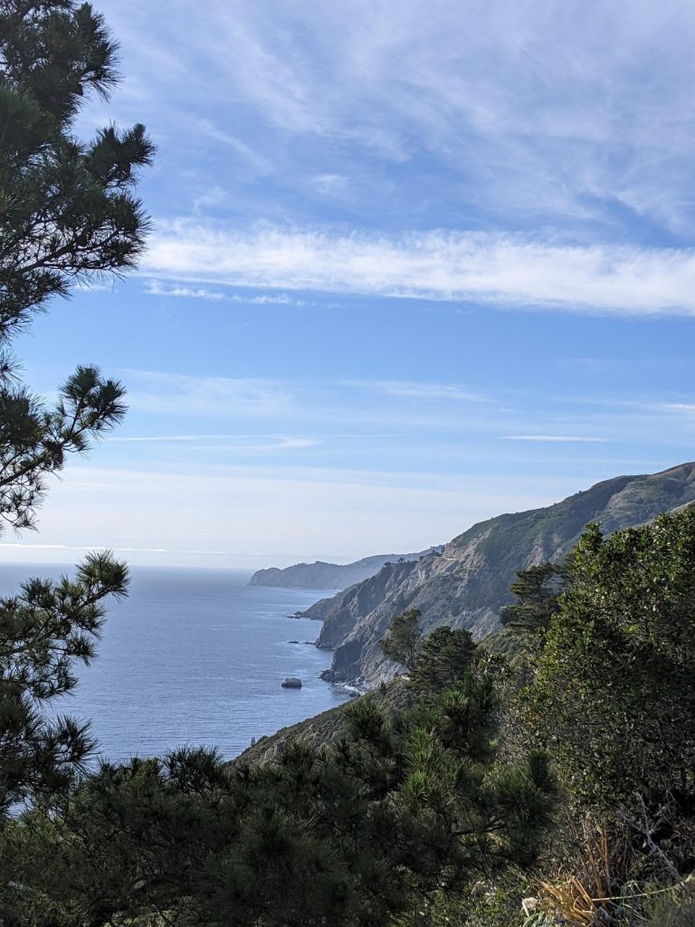 Read more about the article Big Sur